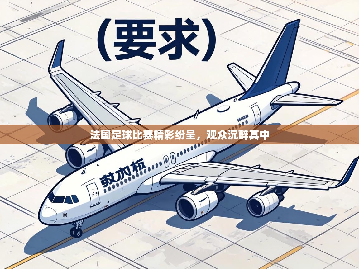 法国足球比赛精彩纷呈，观众沉醉其中  第1张