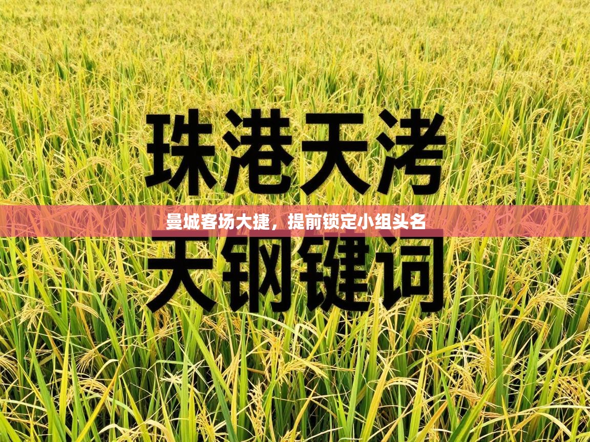 曼城客场大捷,提前锁定小组头名 第2张